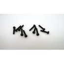 Hex socket black screw M2 x 10 mm (10 pcs)