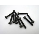 Hex socket black screw M2.5 x 16 mm (10 pcs)