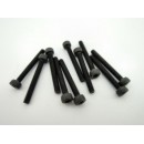 Hex socket black screw M2.5 x 20 mm (10 pcs)